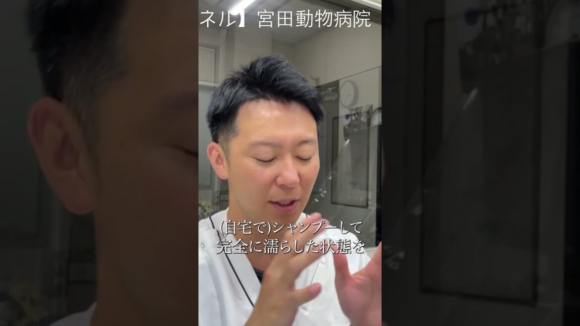 自宅でシャンプーをするメリット＃shorts＃切り抜き