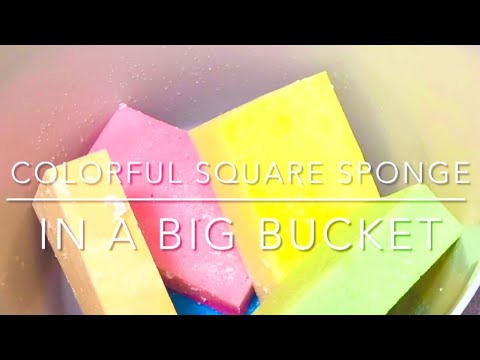 【ASMR】バケツで作る濃密泡🧽🪣🫧 Dense lather in bucket🧽🪣🫧 【ASMR】バケツで作る濃密泡🧽🪣🫧 Dense lather in bucket🧽🪣🫧