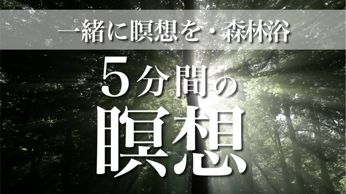 【誘導瞑想】5分間の瞑想・森林浴・一緒に瞑想をしましょう・おつかれさまです・マインドフルネス・深いリラックス感と安心感・穏やかさを取り戻す #15