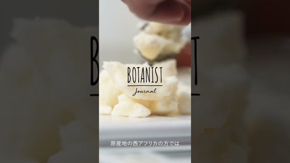 #shorts 【BOTANIST JOURNAL】シアバターの持つ力 　 植物療法士/朝日牧子