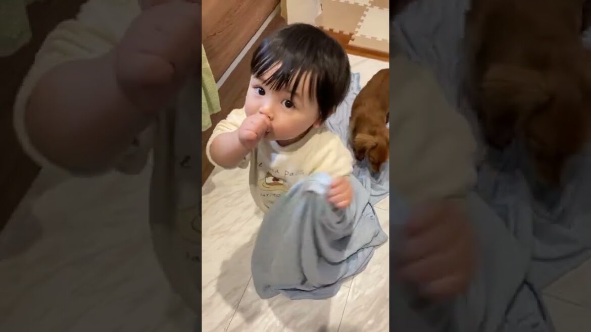 眠すぎて、わざわざキッチンまで眠いアピールをしに来ました#Shorts