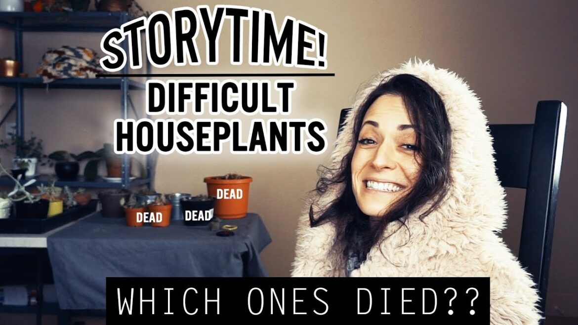 Common Houseplant Problems | Difficult Plants