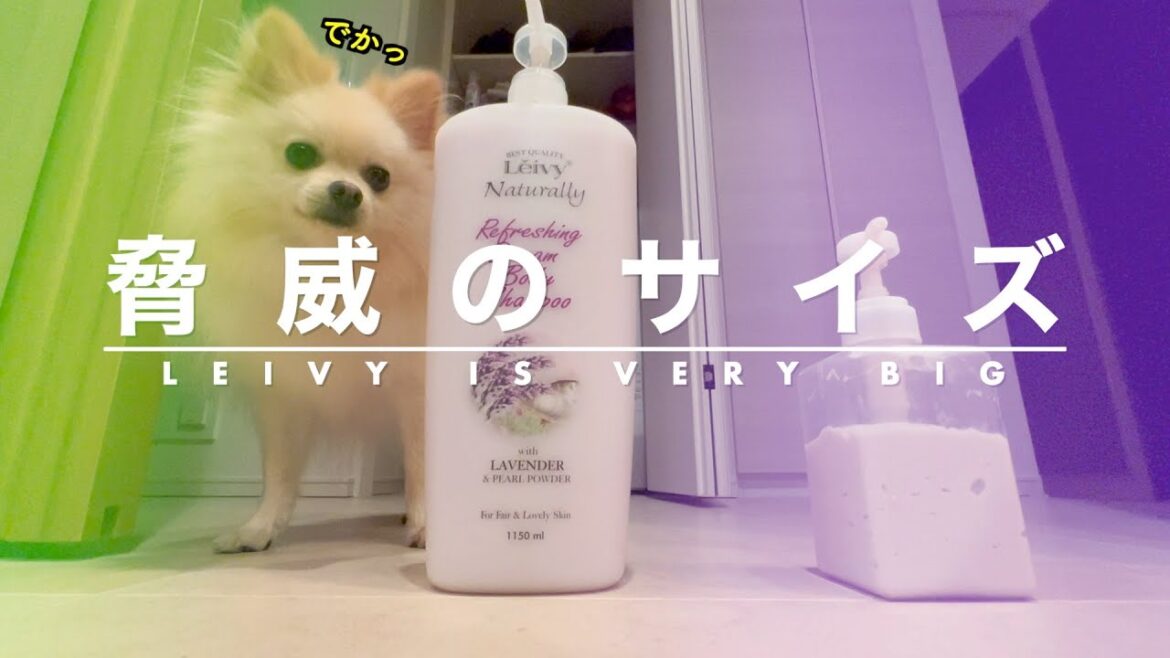 Leivy（レイヴィー）は超特大ボディソープ