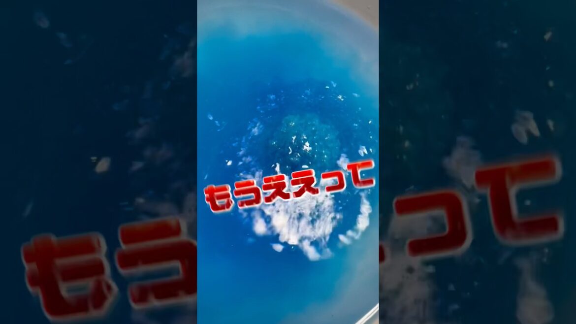 【もうええって】しまじろうバスボール#shorts #キッズ #おもちゃ