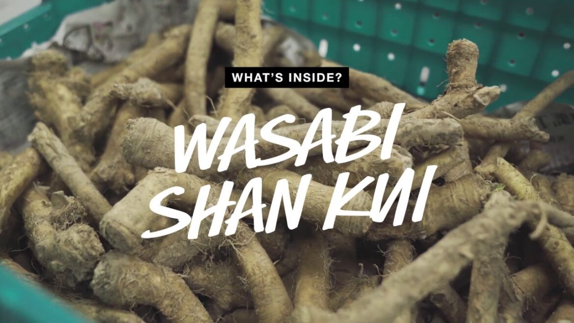 What's Inside? リキッドシャンプー『ワビサビ シャン クイ』 | LUSH ラッシュ