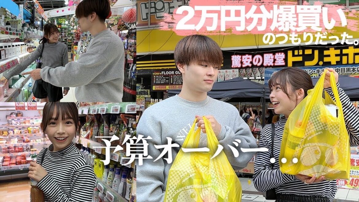 ドンキで爆買いしたらエグい金額なったんやけど。【2人暮らしは金かかる】