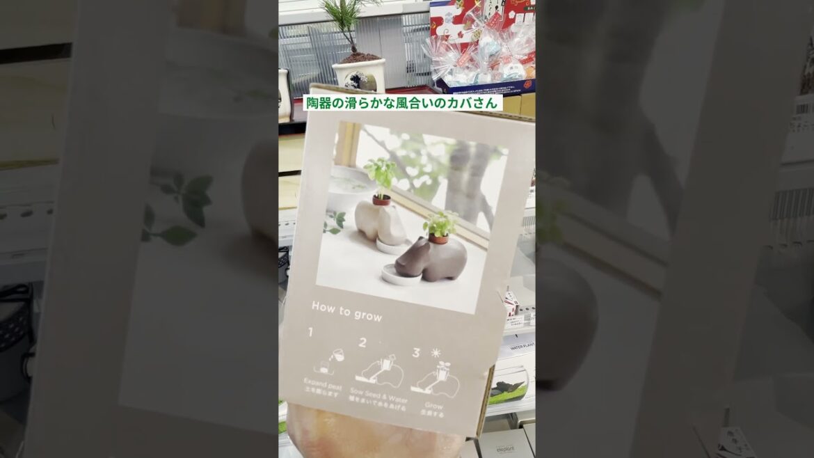 予算2000円！久しぶりの友人にあげたいプチギフト9選！