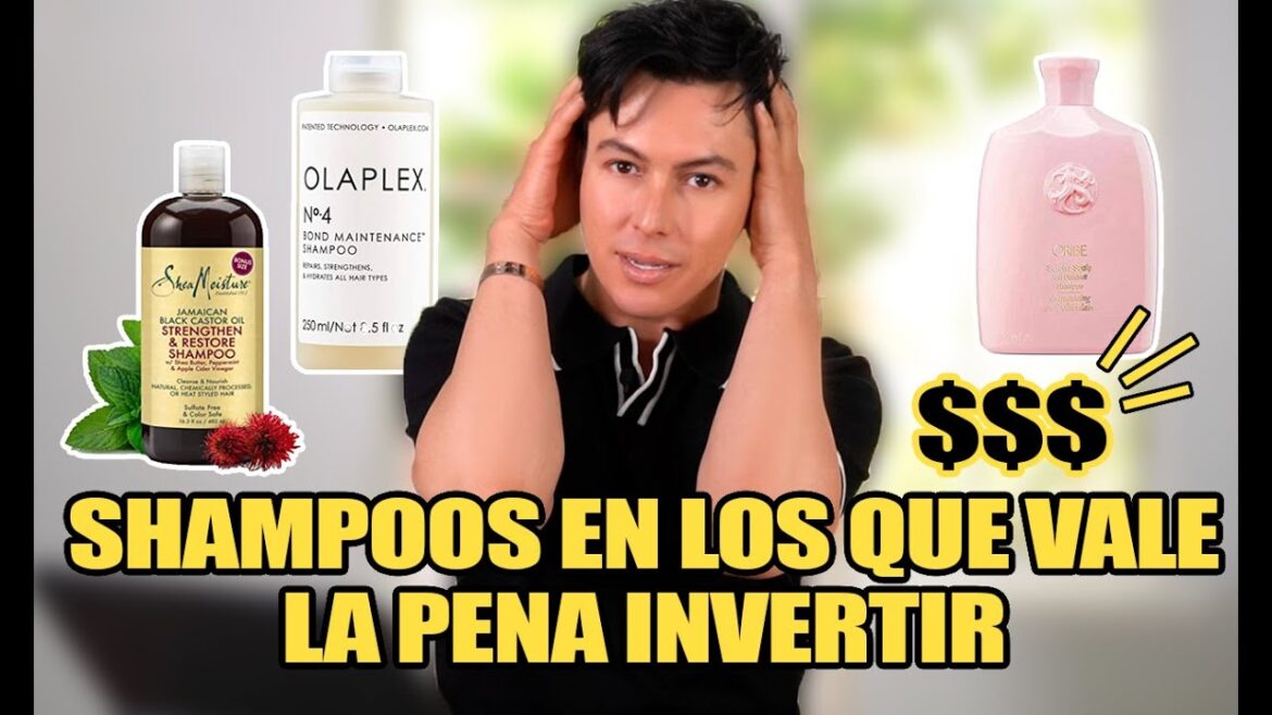 Shampoos En Los Que Hay Que Invertir ¡Shampoos Que Valen La Pena! Shampoos En Los Que Hay Que Invertir ¡Shampoos Que Valen La Pena!