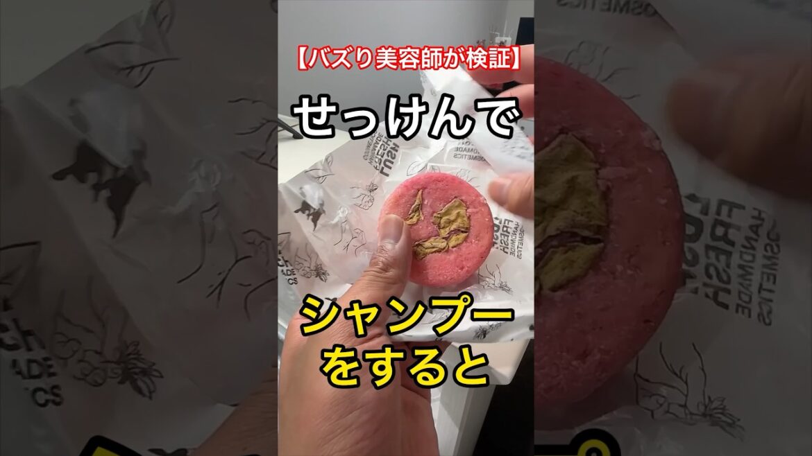 美容師が教えるせっけんでシャンプーをするとめちゃくちゃ良いらしいww 美容師が教えるせっけんでシャンプーをするとめちゃくちゃ良いらしいww