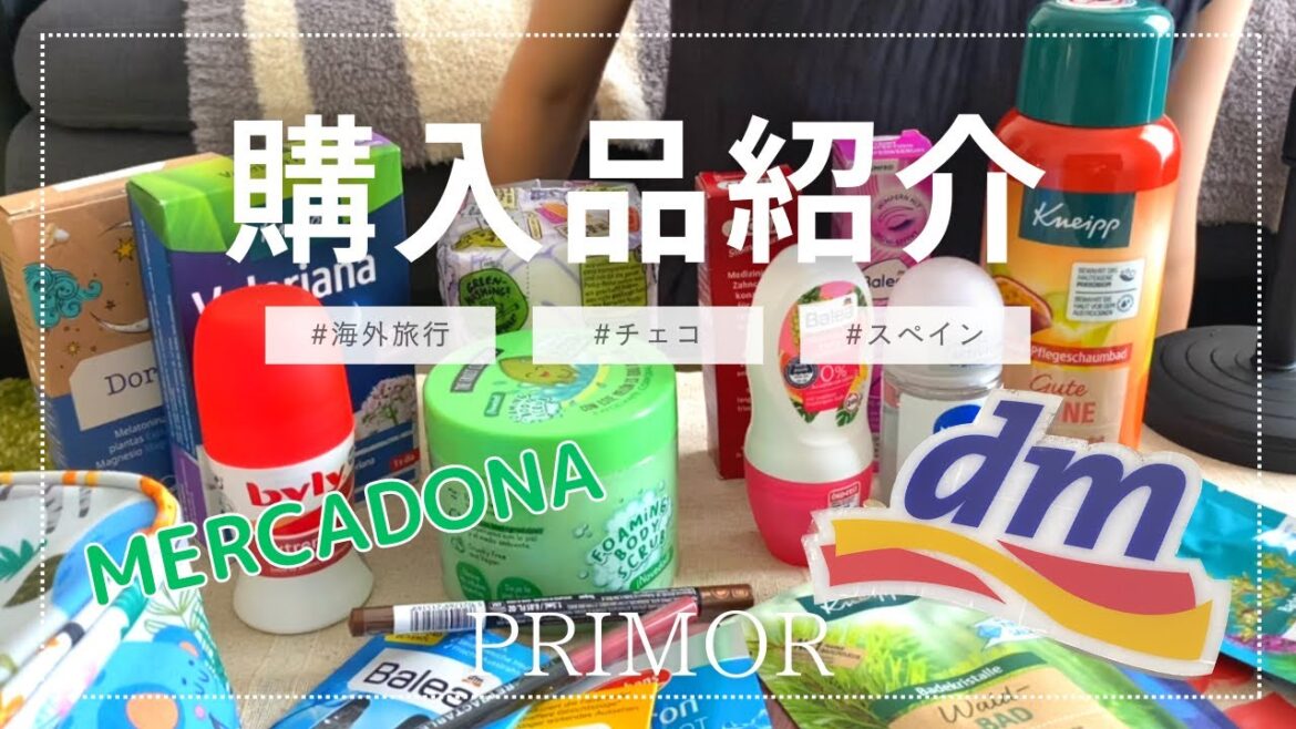 海外から帰ってきたので、購入品紹介をする
