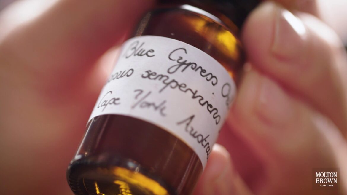 Senior Perfumer Carla Chabert on Coastal Cypress & Sea Fennel | Molton Brown