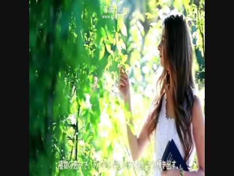 山田優さんが紹介で品切、予約待ちのボタニカルシャンプー 山田優さんが紹介で品切、予約待ちのボタニカルシャンプー