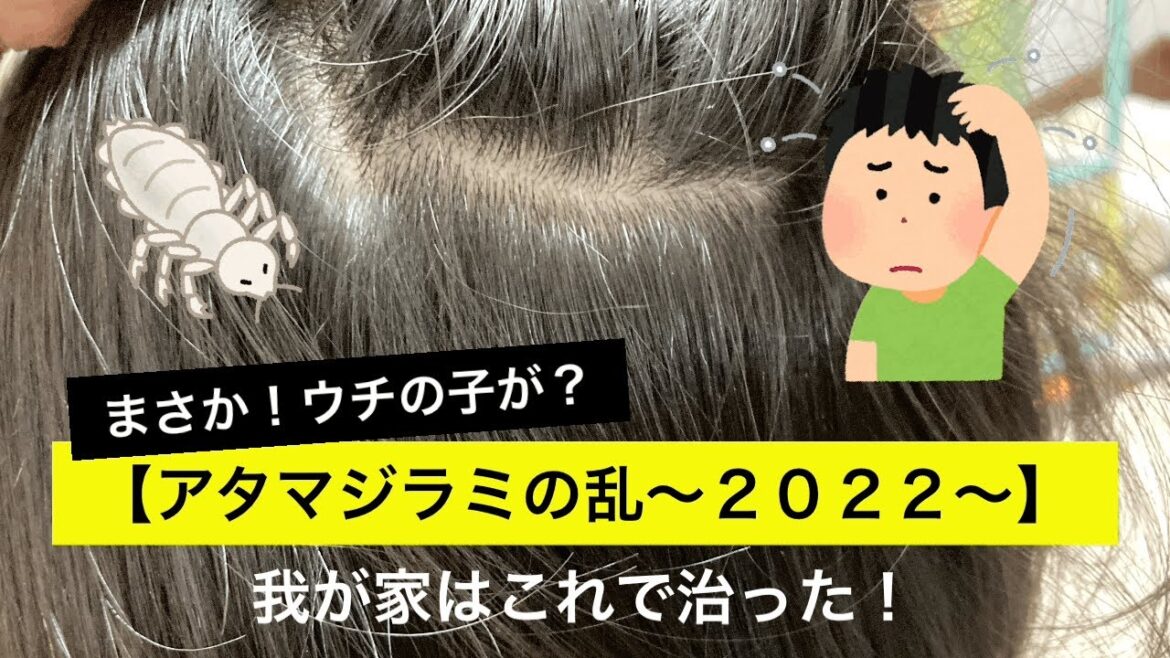 【アタマジラミの乱〜２０２２〜】我が家はこれで治った！