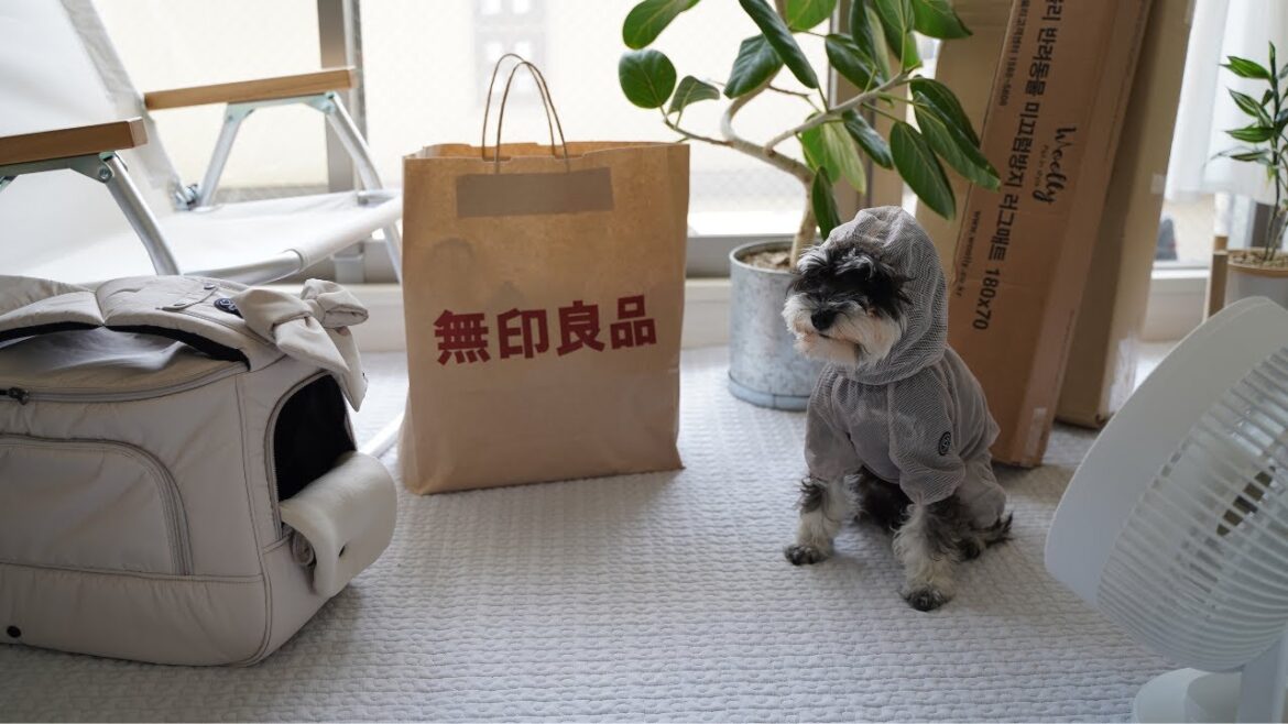 【無印良品/MUJI】新作購入と最近手に入れた暮らしの道具たち