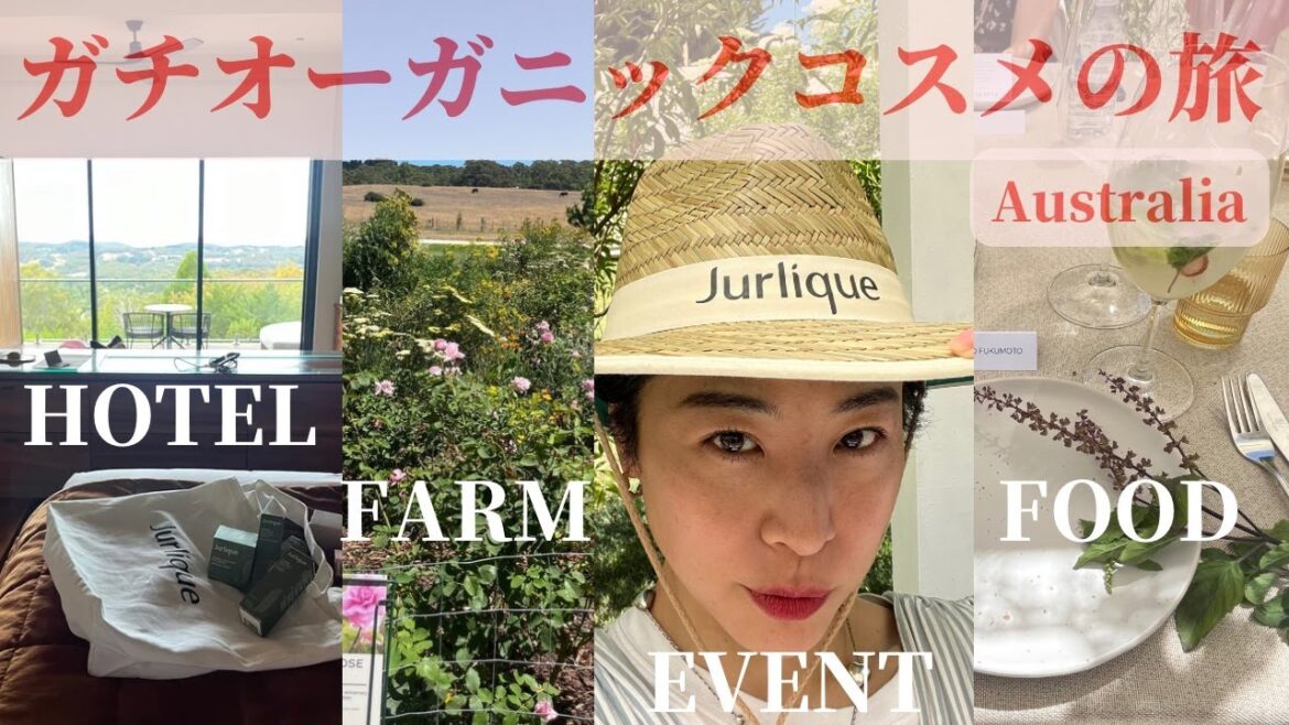 【聖地】ジュリークのグローバルイベントに行ってきました【オーガニックコスメ】