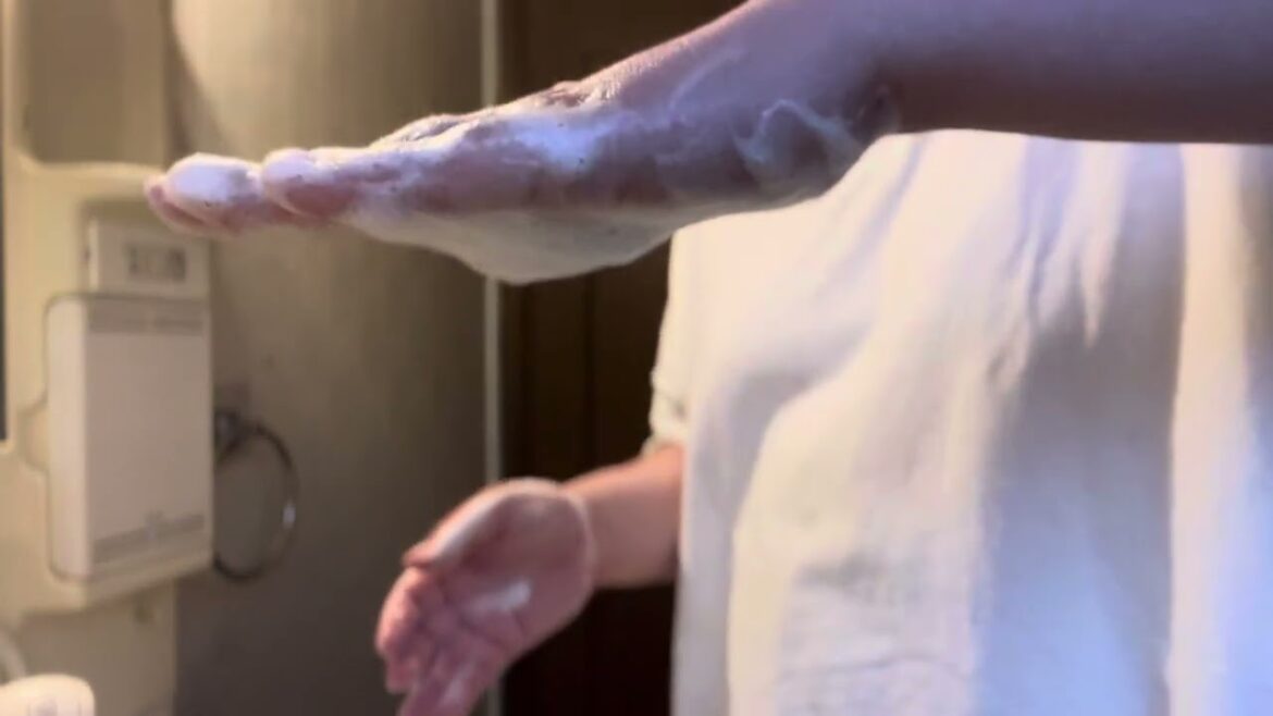 【カウブランド赤箱】あわあわせっけん🧼