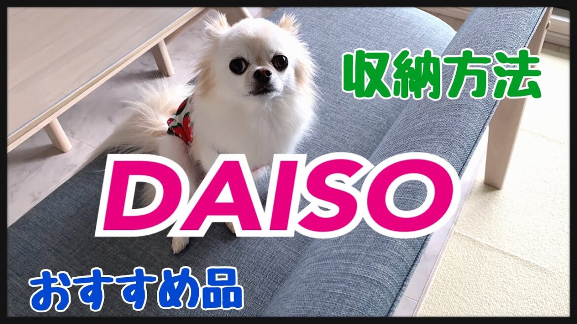 【DAISO購入品】ダイソーおすすめ品！収納やインテリアも　#27