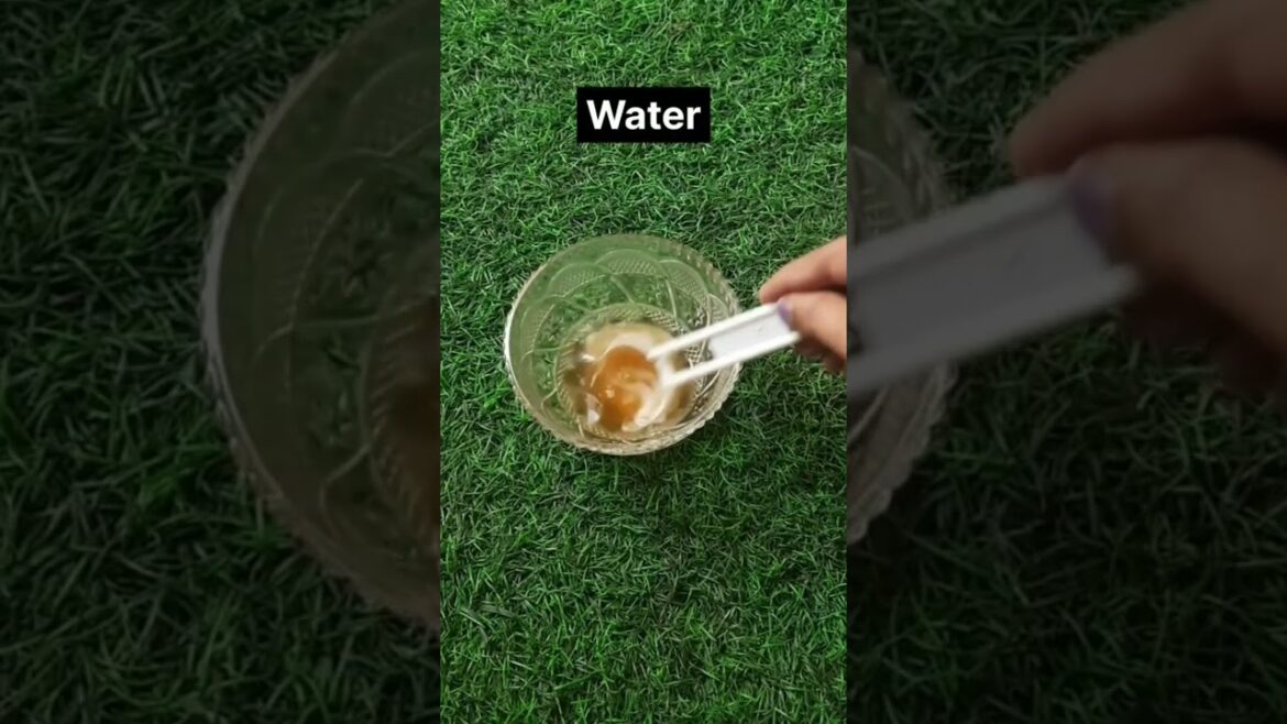 Honey shampoo hack for fast hair growth...👍👍 #beautytips #haircare #hairgrowthtips #shorts #viral