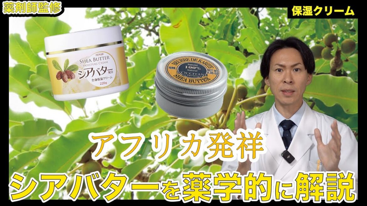 【美容の話】化粧品にある、シアバターってなに？【薬剤師が解説】