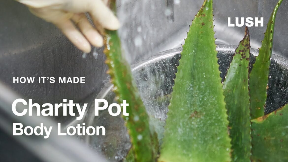 How It’s Made: Charity Pot Hand and Body Lotion How It’s Made: Charity Pot Hand and Body Lotion