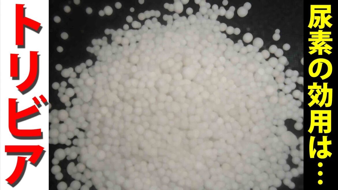 【1分トリビア】保湿クリーム 人気でボディに良いのは？