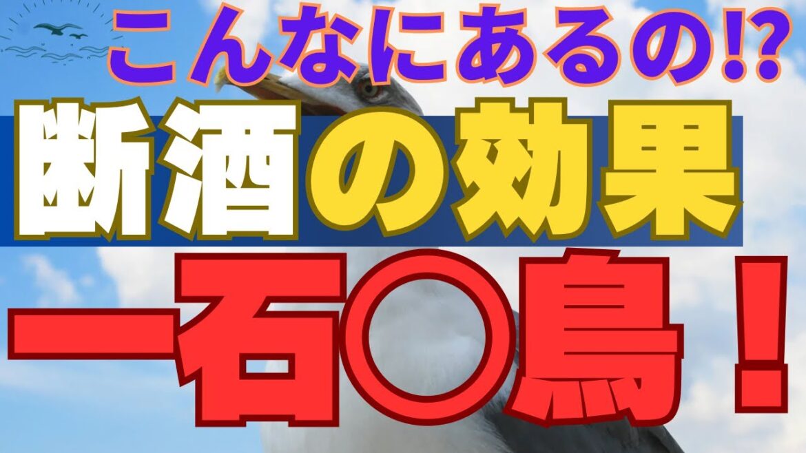 【断酒実現！】数えたらキリがない断酒のメリット！あなたはいくつ思いつく？断酒の一歩目はこの動画から！