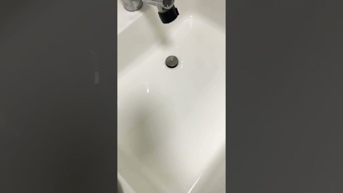 【美容】洗顔料、石鹸、ボディーソープで泡立ち方が、会社でも成分によって変わるようだ！(夏休みの宿題)編