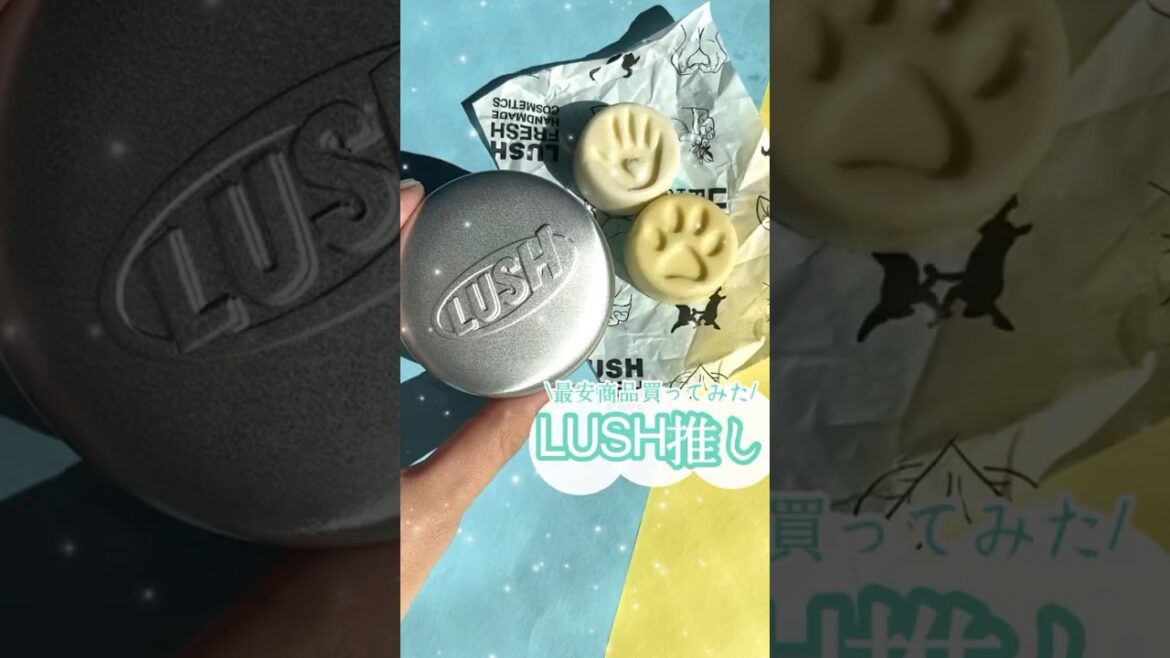 【これヤバい】LUSHで激安！可愛すぎてモテ肌になれる固形ボディーローション知ってる？🥰 #shorts #コスメ #美容 #プチプラ #モテる