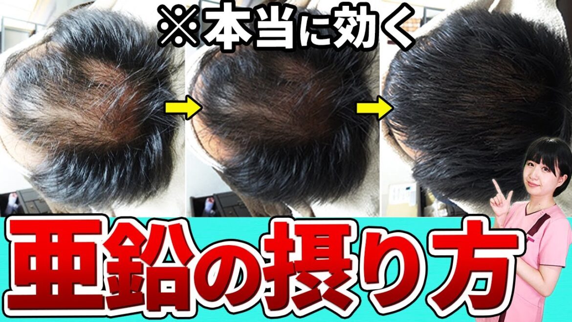 【プロが教える】亜鉛の取り方と効果を最大にする方法
