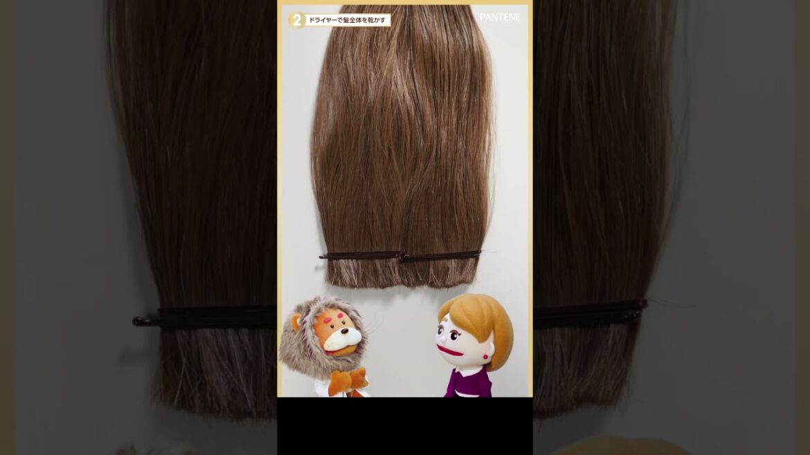 【新パンテーン】洗い流さないトリートメントで熱によるダメージから髪を守る 【新パンテーン】洗い流さないトリートメントで熱によるダメージから髪を守る