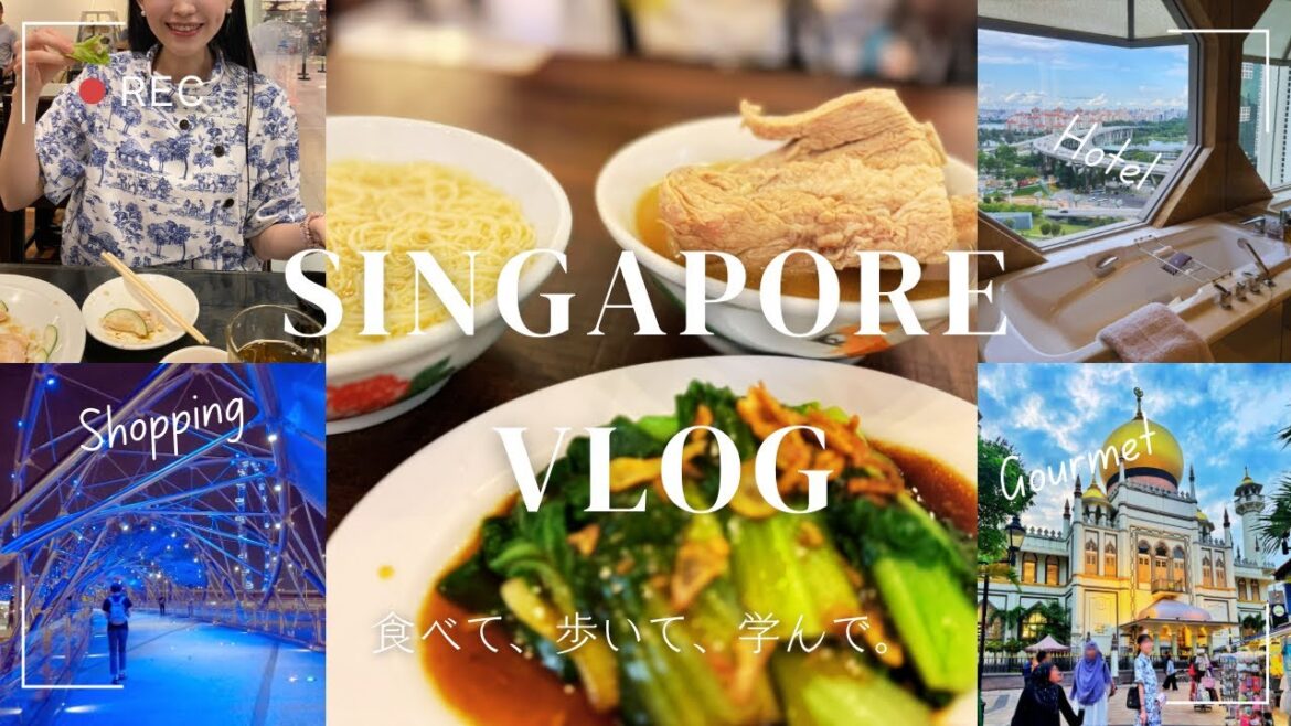 【シンガポールVlog①】食べて見て買ってを全部叶える旅｜日本味上陸グルメ｜アラブストリート｜ホテルの詳細レビュー｜観光モデルコース｜オーチャードでショッピング｜肉骨茶やジンジャーチキン他