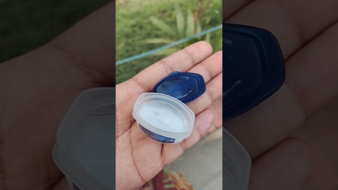 Vaseline skin protecting jelly orginal #mini #vaseline #jelly #youtubeshorts #habijabiwork