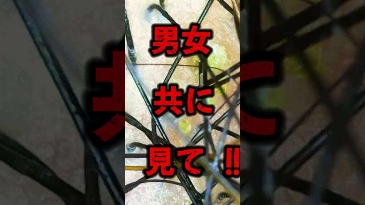 シャンプー何使う！？メリット？ラックス？h&s？いち髪？あかん！#shorts