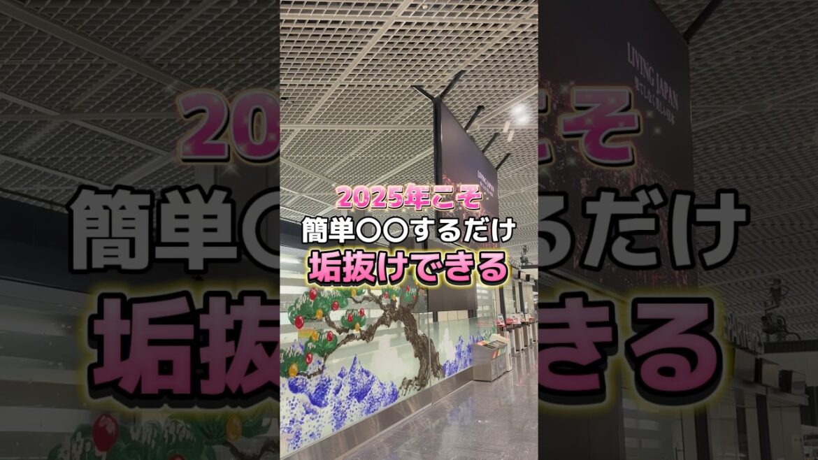 2025年こそ❤️‍🔥簡単〇〇するだけで垢抜けできる✨ #韓国 #韓国旅行 #渡韓 #渡韓情報 #韓国旅行情報 #韓国美容 #韓国コスメ #short #shorts