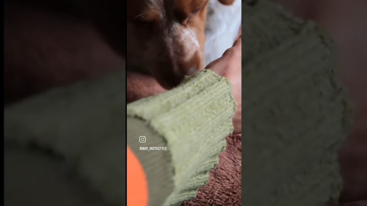 ABRID CONMIGO EL DÍA 2!! CALENDARIO DE ADVIENTO DE KIEHL’S!! ✨️ #kiehls #calendarioadviento #beauty ABRID CONMIGO EL DÍA 2!! CALENDARIO DE ADVIENTO DE KIEHL'S!! ✨️ #kiehls #calendarioadviento #beauty