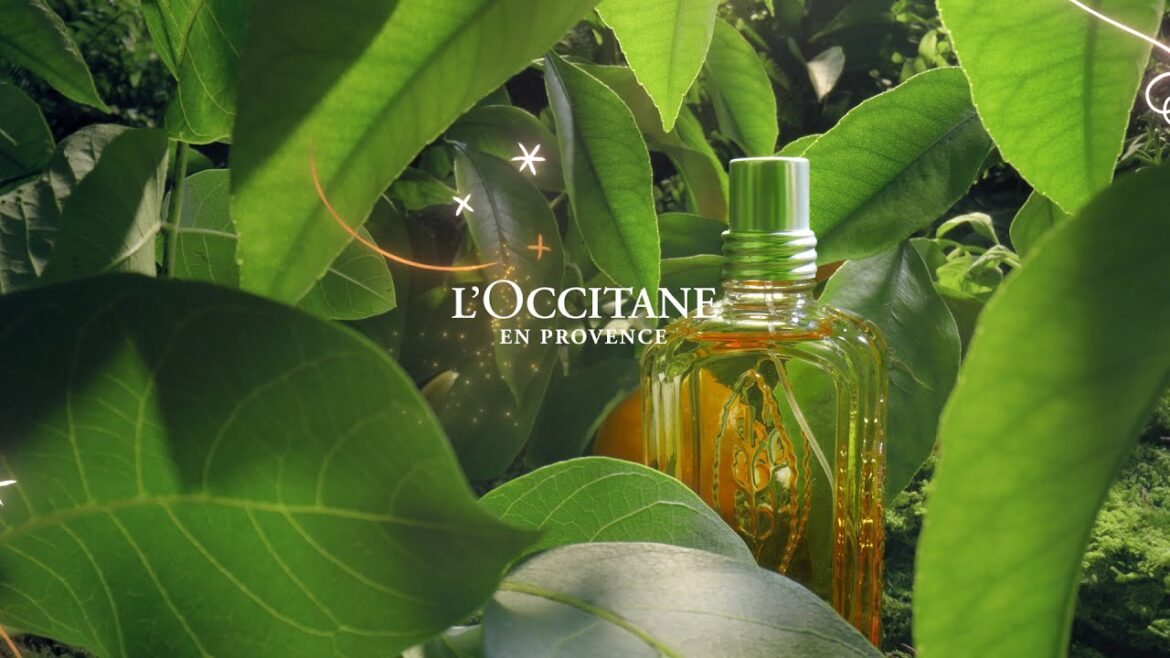 Holiday 2020 | L'Occitane