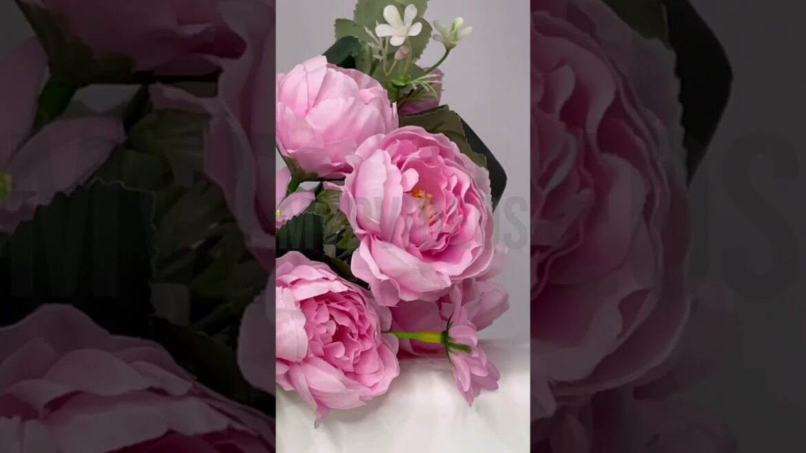 The Body shop shower gel aesthetic video