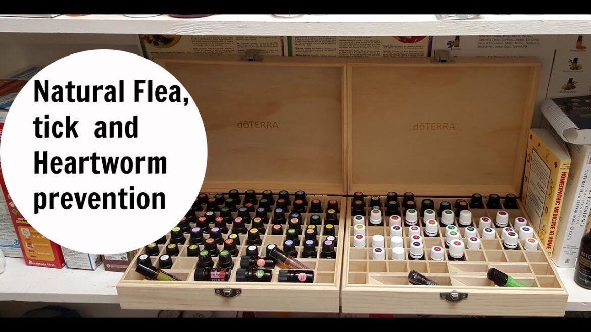 Natural Flea, Tick and Heartworm prevention