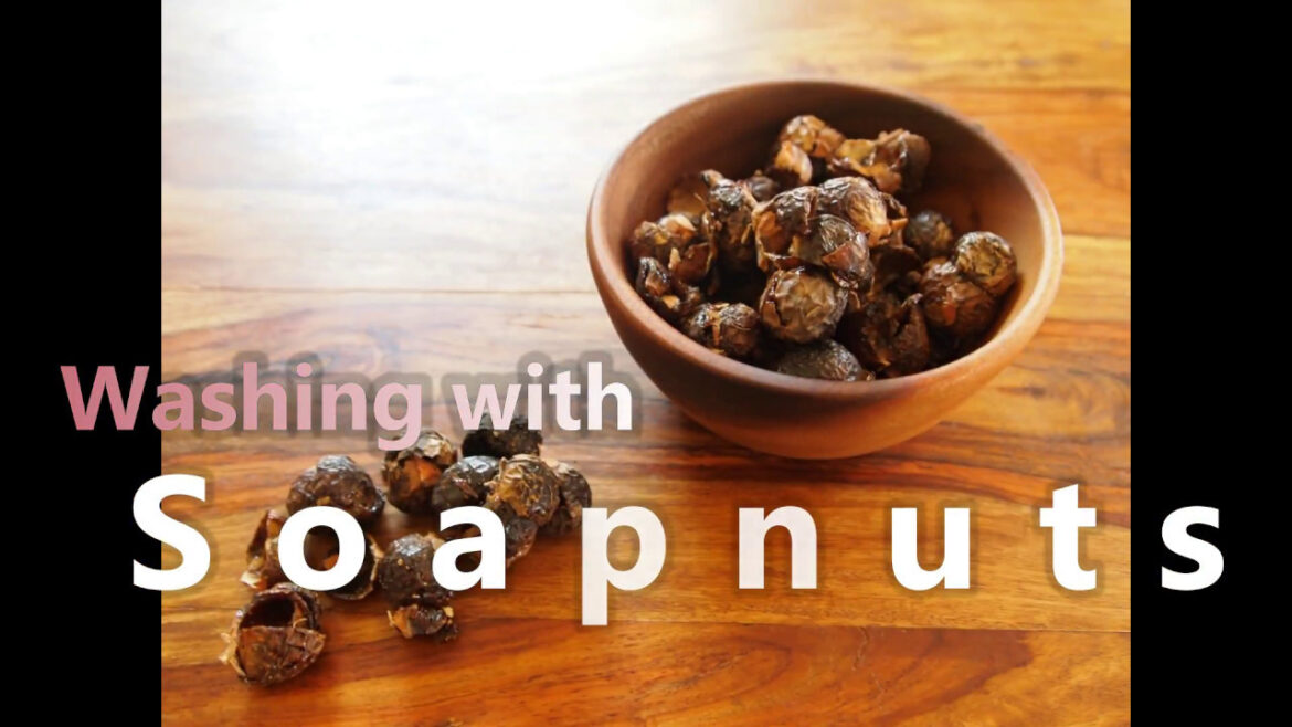 How to use soapnuts  ソープナッツの使い方 How to use soapnuts  ソープナッツの使い方