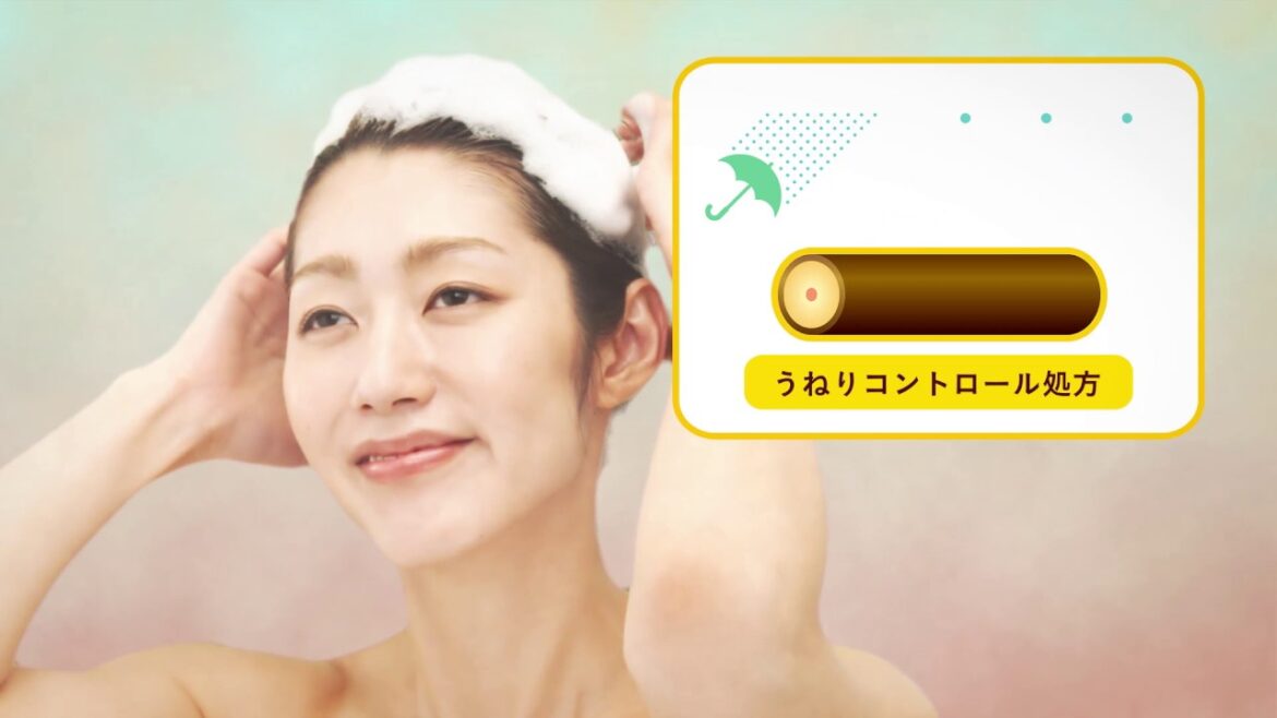 HIMAWARI Web CM15s MP4