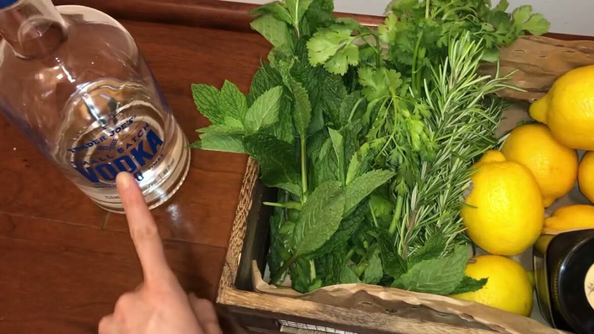 How I use and preserve Mint, cilantro, rosemary【Vegan herbal remedy】【Medicinal herbs tincture】
