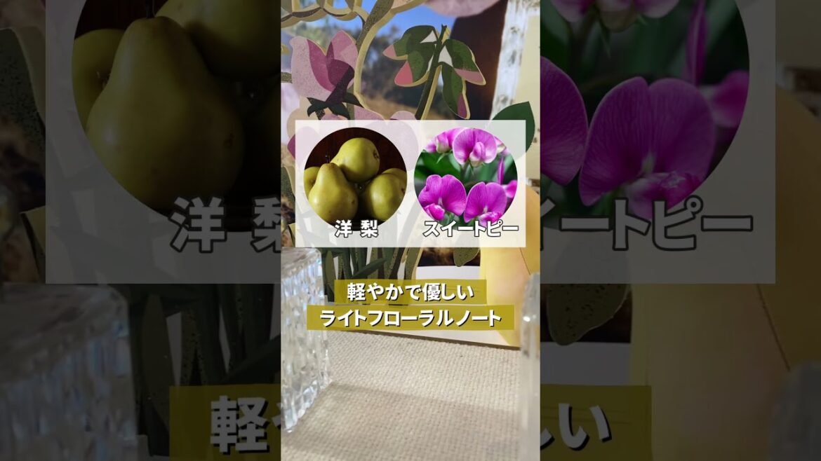 【超最速】JO MALONE人気No.1｜限定新作香水を紹介🍁