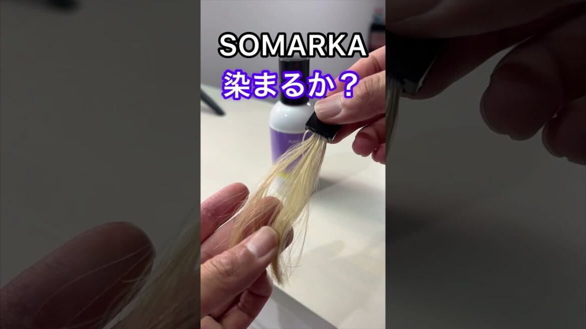 美容師が教える紫シャンプーはどれが1番良かったのか検証した結果ww#shorts 美容師が教える紫シャンプーはどれが1番良かったのか検証した結果ww#shorts