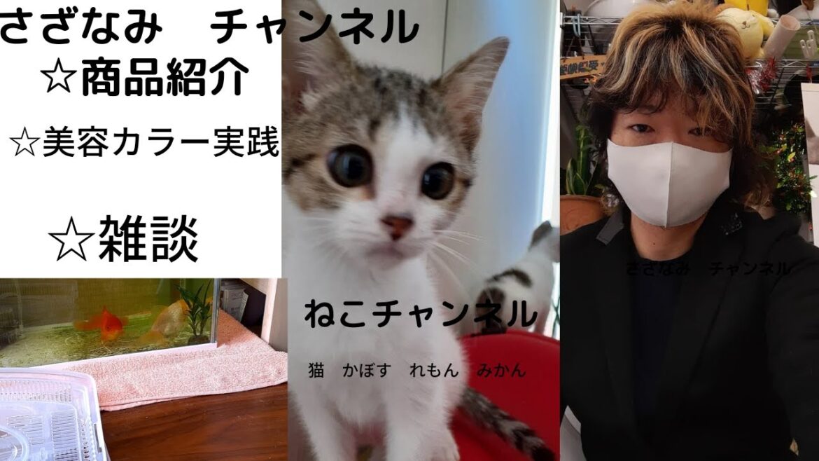 第28回商品紹介、美容関連!!!　フーチェ　ARヘア&スカルプパック　地肌と髪のトリートメント!!!特殊な物になりますが、トリートメントを、頭皮につけて、大丈夫なもの！保湿に、優れたもの!!!