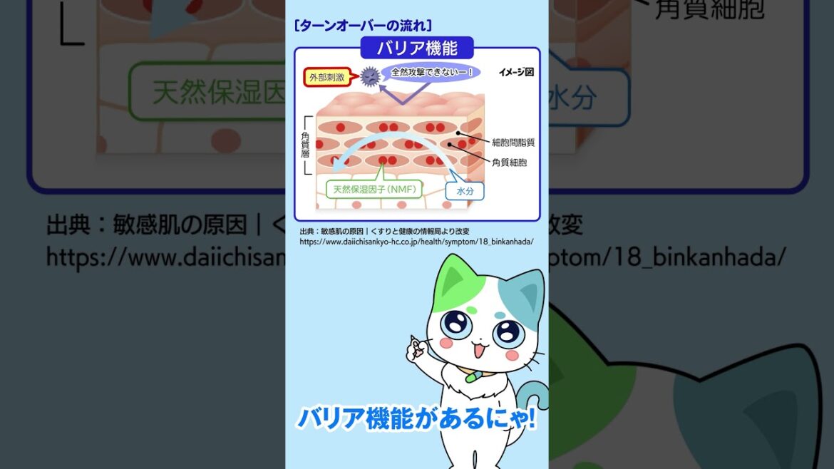 敏感肌とはどんな状態!?原因を知って対策しよう【第一三共ヘルスケア】