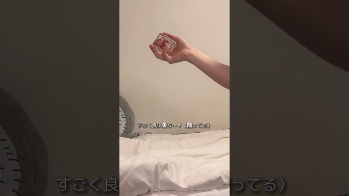 ワンピースと香水が届いた日【休日Vlog】