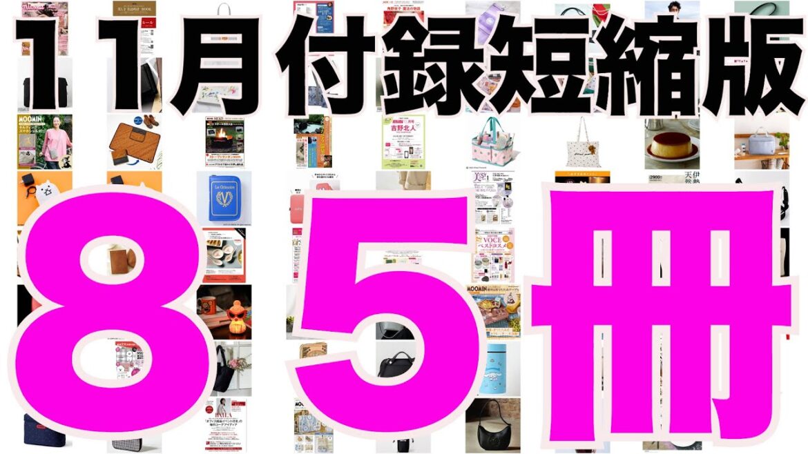 【雑誌付録】短縮版11月発売予定の付録まとめ(2023/11/1～11/30分 85冊)