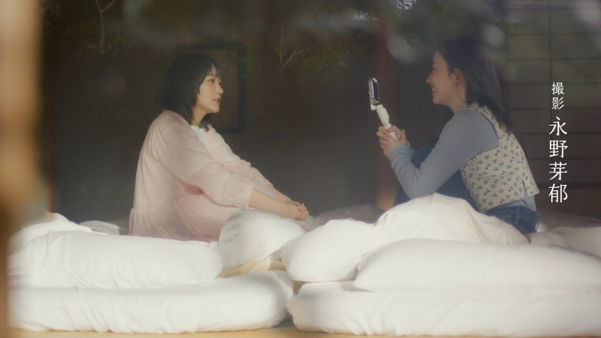 「奈緒の髪　良い20代でした」篇　15秒