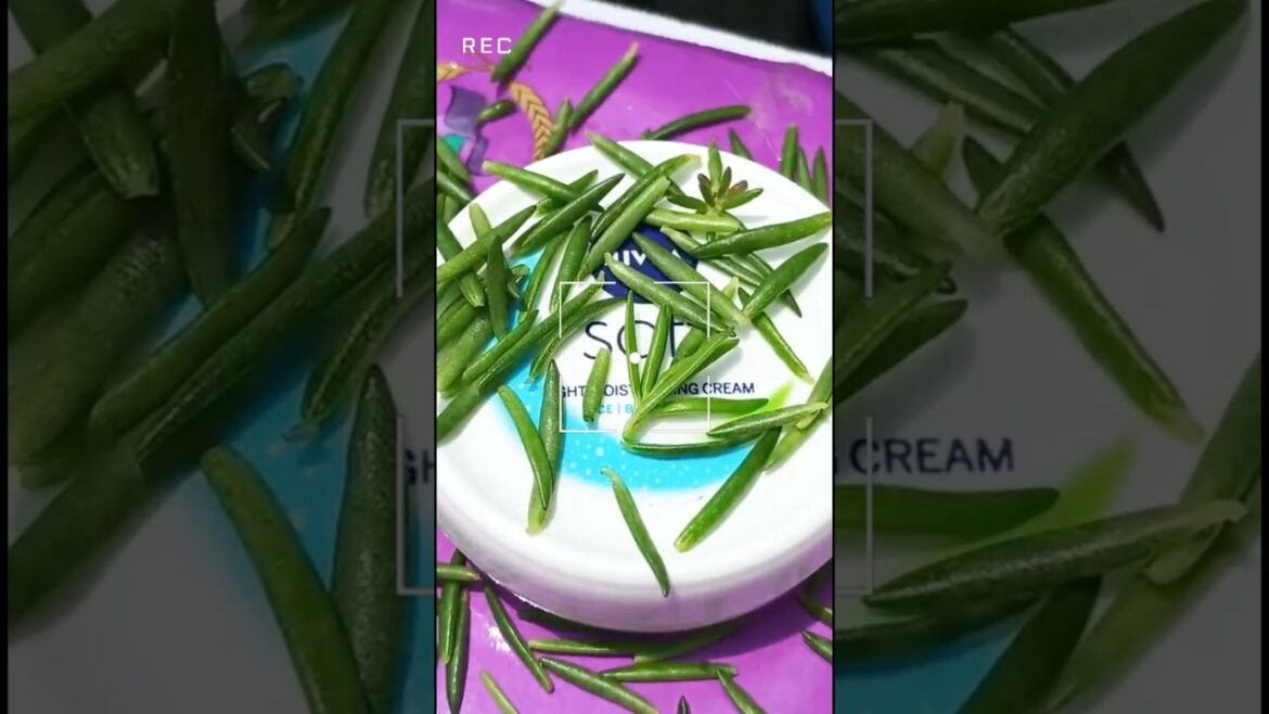 Nivea Soft Cream!||#shorts#ytshorts#shortsfeed#skincare#nivea#trending#subscribe#youtubeshorts