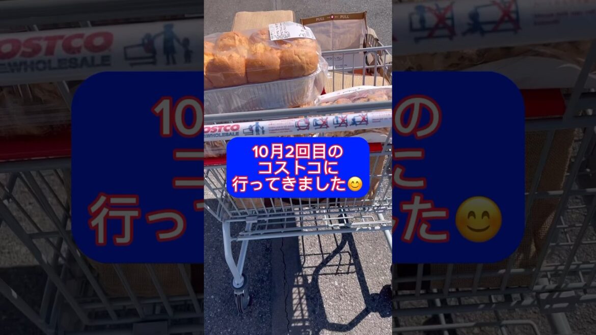 10月2回目のコストコ購入品は新商品いっぱい&大好きが激安♡ #shorts